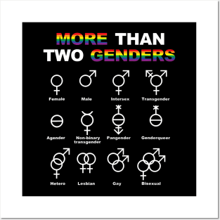 More Than 2 Genders, LGBTQ Flag Gay Pride Month Proud LGBT Posters and Art